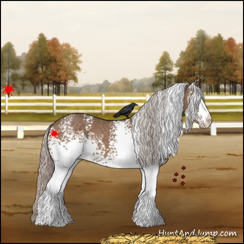 Horse Color:White Spotted Silver Brown Dun Varnish