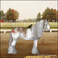 Horse Color:White Spotted Silver Brown Dun Varnish 