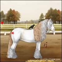 Horse Color:White Spotted Amber Champagne Pearl Appaloosa 