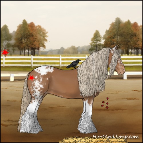 Horse Color:White Spotted Chestnut Tobiano Blanket 