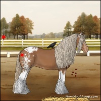 Horse Color:White Spotted Chestnut Tobiano Blanket