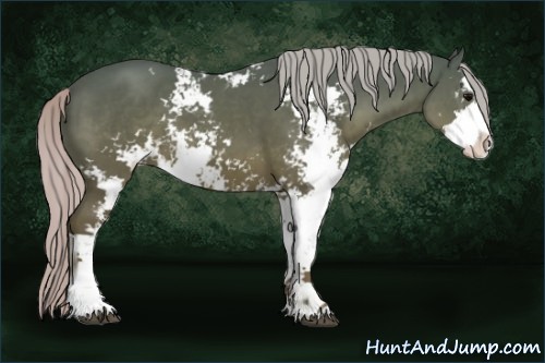 Horse Color:Silver Black Sabino 