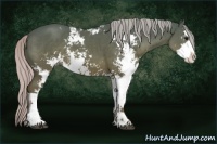 Horse Color:Silver Black Sabino 