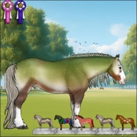 Horse Color:Silver Brown Roan Onyx Sabino Splash