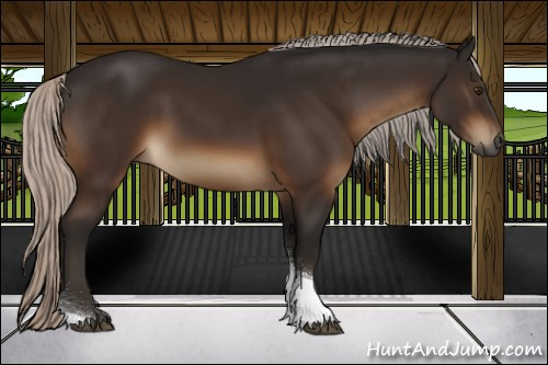 Horse Color:Gray Silver Brown Tobiano