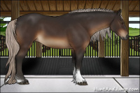 Horse Color:Gray Silver Brown Tobiano 