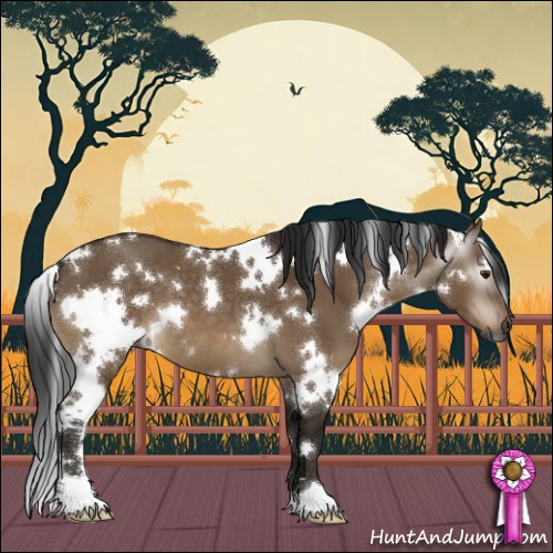 Horse Color:Gray White Spotted Bay Dun