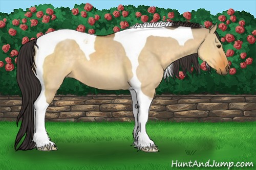 Horse Color:Buckskin Dun Tobiano