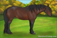 Horse Color:Brown 