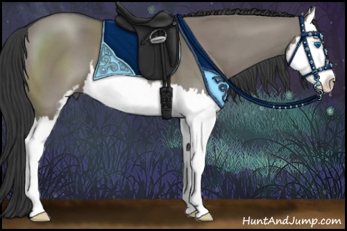 Horse Color:Grullo Sabino Splash 