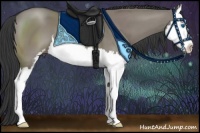 Horse Color:Grullo Sabino Splash 