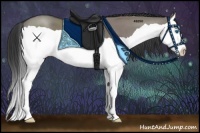 Horse Color:Grullo Splash 