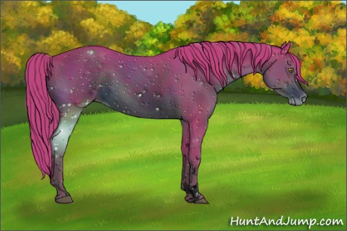 Horse Color:ERROR: UNKNOWN ANOMALY