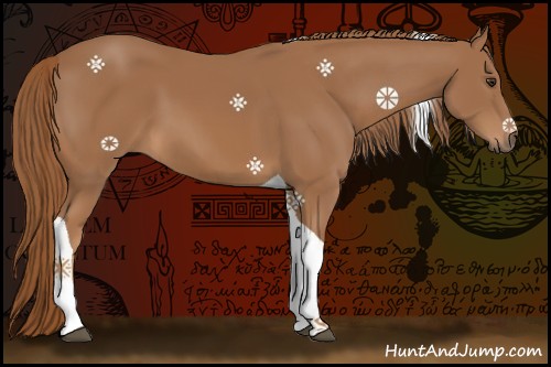 Horse Color:Chestnut Tobiano