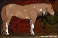 Horse Color:Chestnut Tobiano