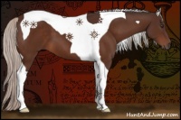 Horse Color:Silver Bay Tobiano
