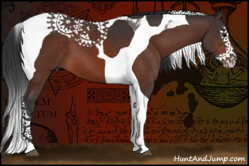 Horse Color:Bay Splash Tobiano