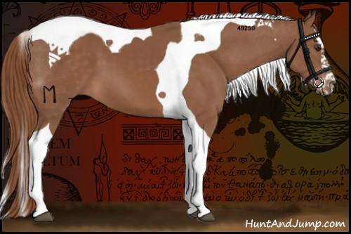Horse Color:Chestnut Splash Tobiano
