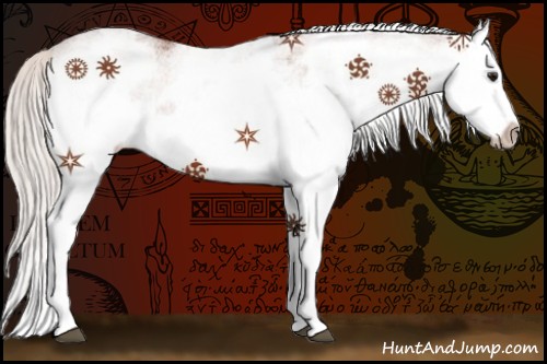 Horse Color:White Spotted Silver Bay Splash 