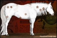 Horse Color:White Spotted Silver Bay Splash 
