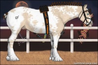 Horse Color:Cremello Tobiano Frame 