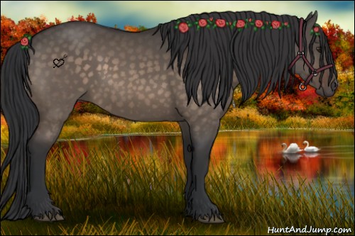 Horse Color:Brown Dun Sabino