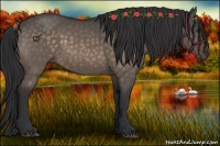 Horse Color:Brown Dun Sabino