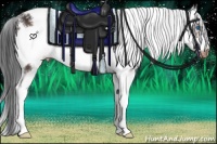 Horse Color:Brown Sabino Frame Appaloosa