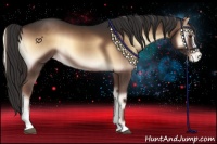 Horse Color:Liver Red Onyx Sabino Appaloosa 