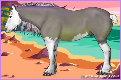 Horse Color:Watercolor Silver Brown Splash 