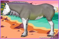 Horse Color:Watercolor Silver Brown Splash 
