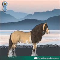 Horse Color:White Spotted Buckskin Dun 