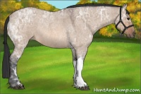 Horse Color:Bay Ice Roan Dun Rabicano