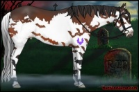 Horse Color:Brown Splash 