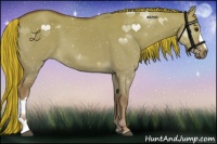 Horse Color:Painted Red Dun 