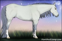Horse Color:Watercolor Buckskin Dun 