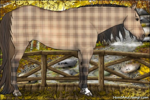 Horse Color:Plaid  Bay Dun 