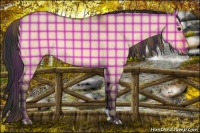 Horse Color:Plaid  Bay Dun 