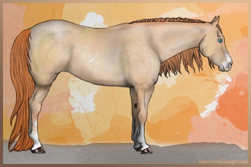 Horse Color:Buckskin Pearl Sabino 