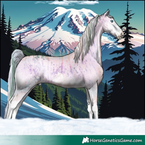 Horse Color:Watercolor White Spotted Chocolate Brown Onyx Splash  and Platinum Watercolor Chocolate Palomino Pearl Onyx Splash Tobiano 