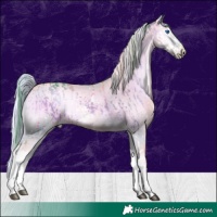 Horse Color:Watercolor White Spotted Chocolate Brown Onyx Splash  and Platinum Watercolor Chocolate Palomino Pearl Onyx Splash Tobiano 