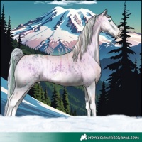 Horse Color:Watercolor White Spotted Chocolate Brown Onyx Splash  and Platinum Watercolor Chocolate Palomino Pearl Onyx Splash Tobiano 