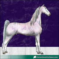 Horse Color:Watercolor White Spotted Chocolate Brown Onyx Splash  and Platinum Watercolor Chocolate Palomino Pearl Onyx Splash Tobiano 