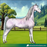 Horse Color:Watercolor White Spotted Chocolate Brown Onyx Splash and Platinum Watercolor Chocolate Palomino Pearl Onyx Splash Tobiano