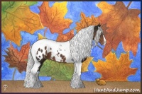 Horse Color:Liver Chestnut Mushroom Tobiano Appaloosa