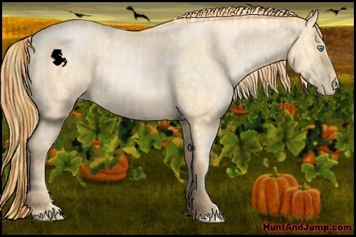 Horse Color:Buckskin Roan Pearl  and Buckskin Roan Pearl 