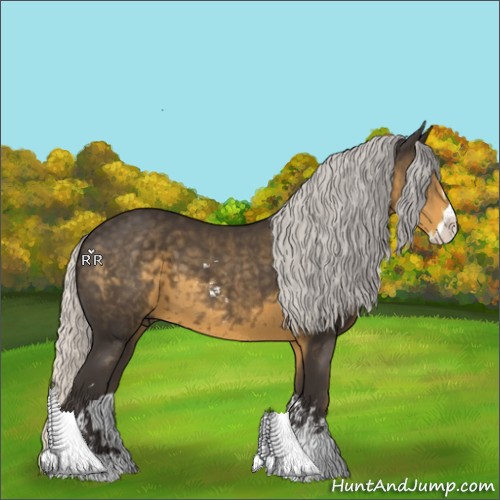 Horse Color:Silver Smoky Black Sabino 