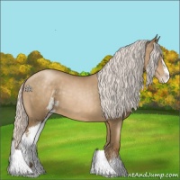 Horse Color:Silver Smoky Black Pearl Sabino