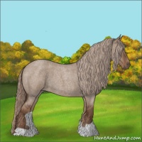 Horse Color:Liver Red Dun Roan 