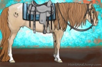 Horse Color:Smoky Black Pearl Sabino Appaloosa